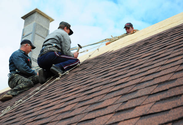 Professional Roofing Contractor in Richwood, TX